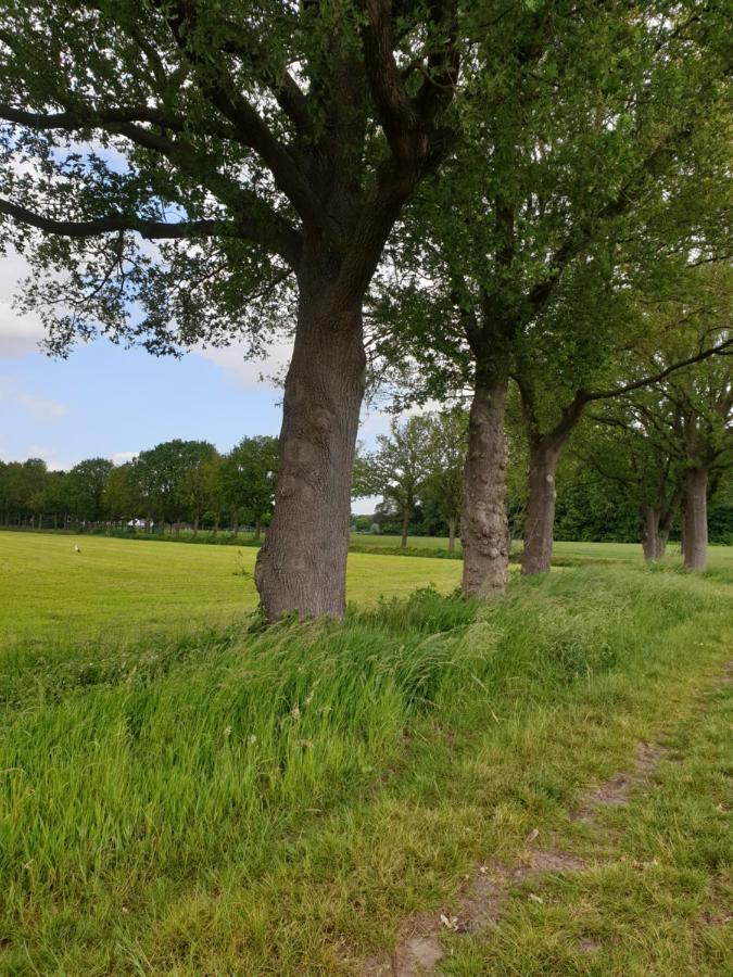 B&B Het Gelders Buitenleven Overasselt Экстерьер фото