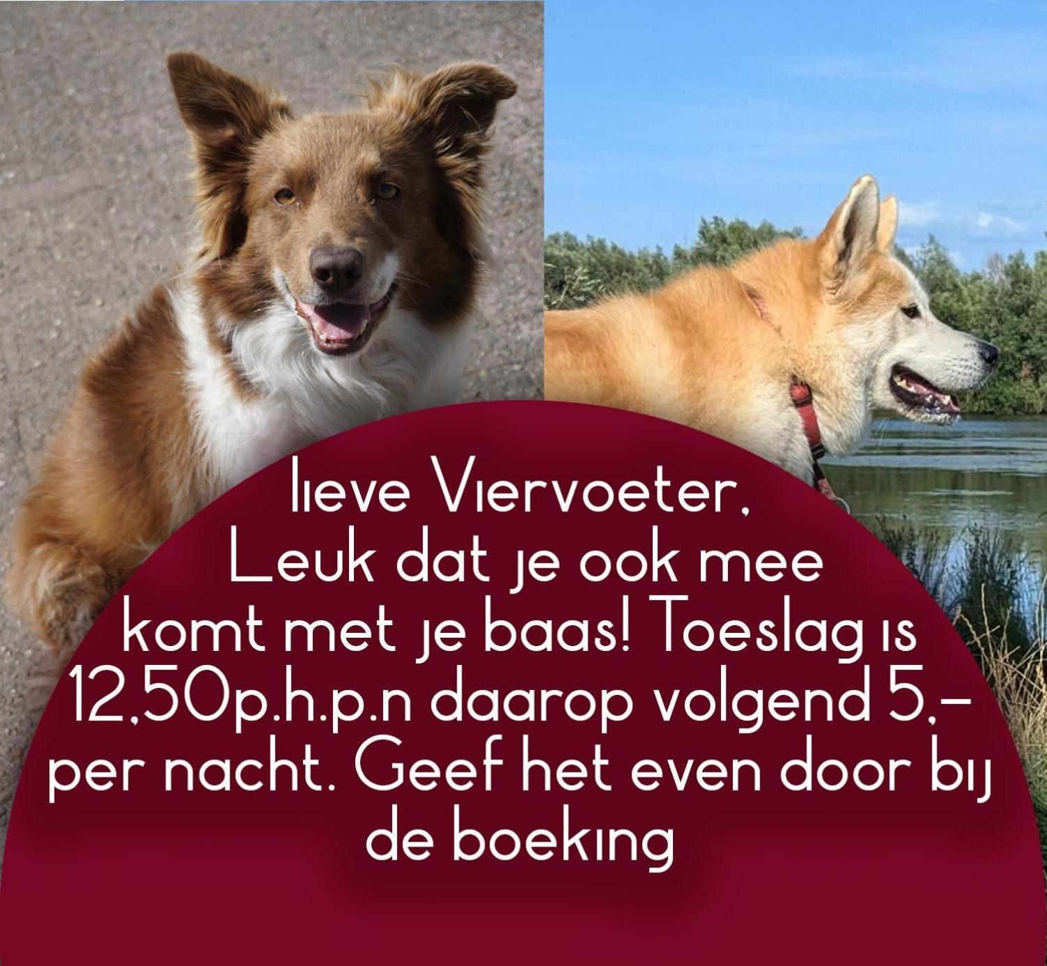 B&B Het Gelders Buitenleven Overasselt Экстерьер фото